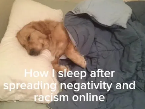 Dog Sleeps After Online Racism