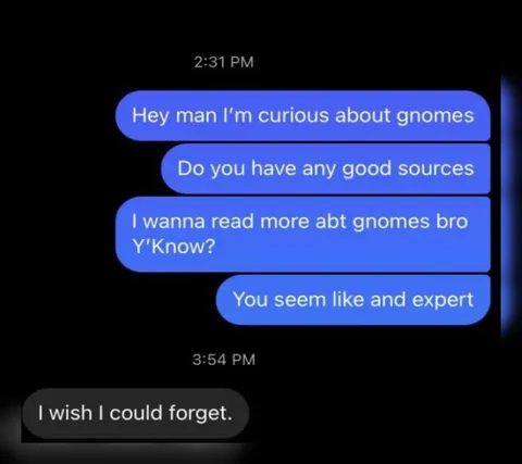 I Wish I Could Forget Gnomes