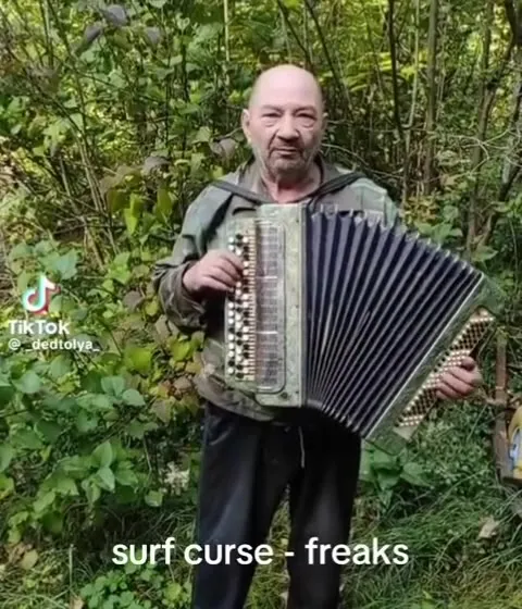 Accordion Cover of Freaks
