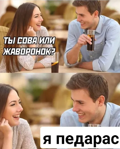 Ты сова или жаворонок?
