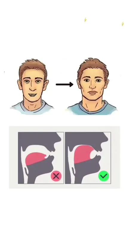 Cat Looksmaxxing Progression