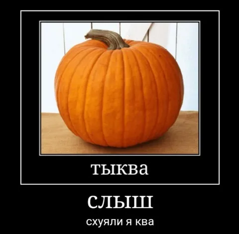 Тыква слыш, схуя ли я ква