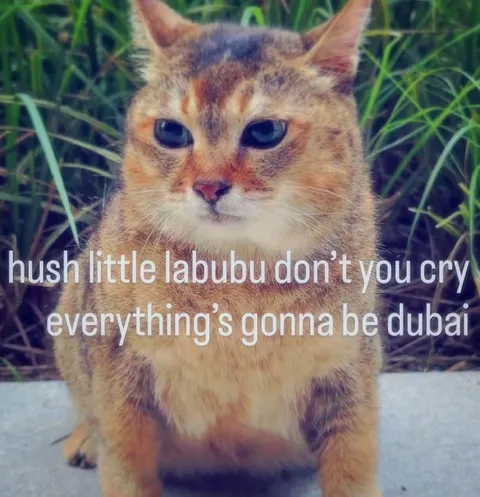 Everything’s Gonna Be Dubai