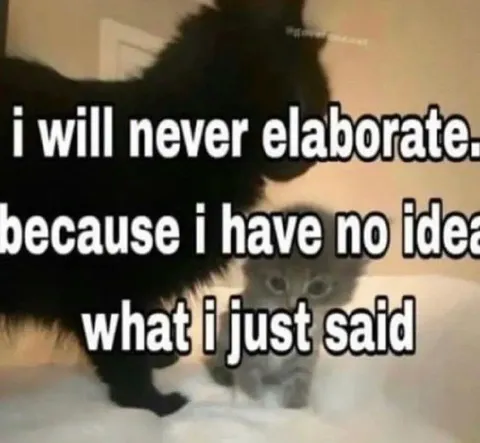 I Will Never Elaborate
