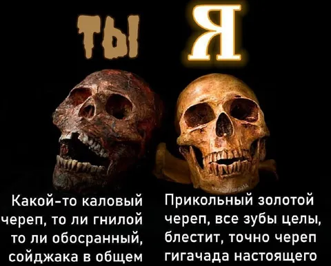 Ты и я: череп гниды и гигaчада