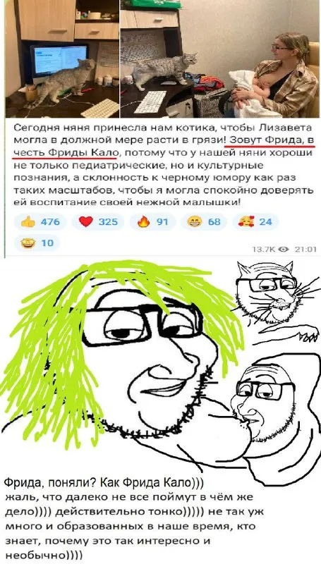 Котик в честь Фриды Кало