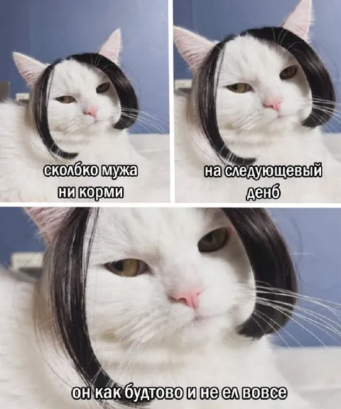 Сколько мужа ни корми