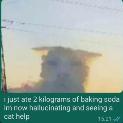 Hallucinating After Eating Baking Soda