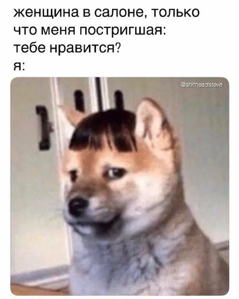 Когда парикмахер спросил, нравится ли стрижка
