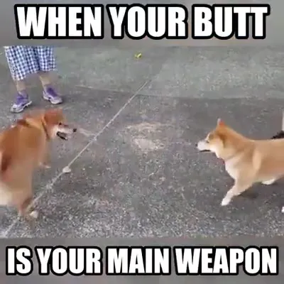 When Your Butt Is Your Main Weapon