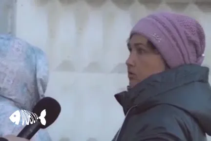 Интервью с сахарными ковбоями