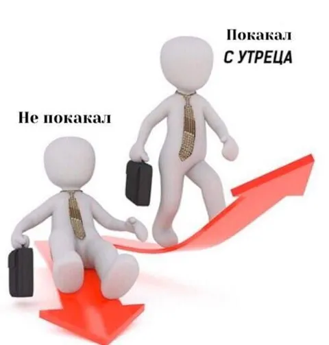 Покакал с утреца — успех