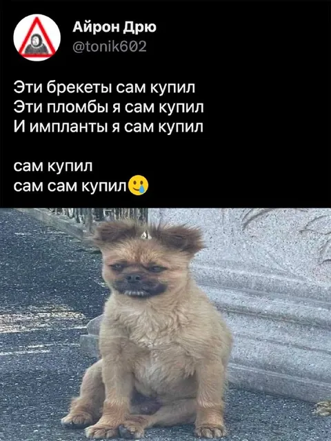 Сам купил сам сам купил
