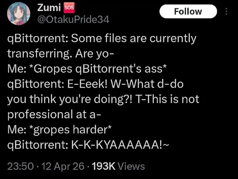 qBittorrent Gets Groped