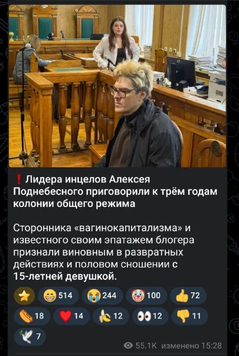 Лидера инцелов приговорили к трём годам