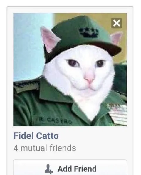 Fidel Catto Friend Request