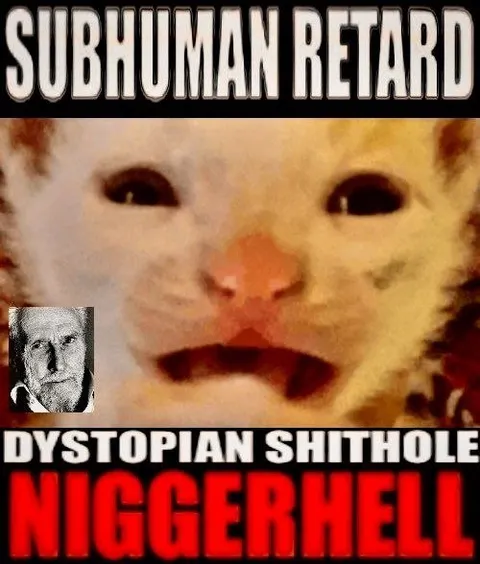 Subhuman Retard Cat Reaction
