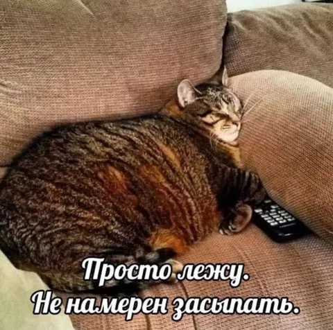 Просто лежу и не сплю