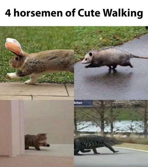 4 Horsemen of Cute Walking