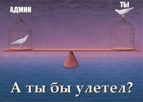 А ты бы улетел?