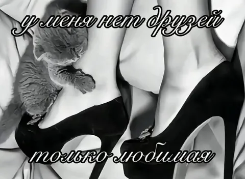 У меня нет друзей, только любимая