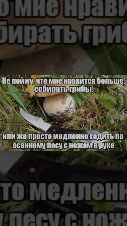 Грибы или прогулка с ножом