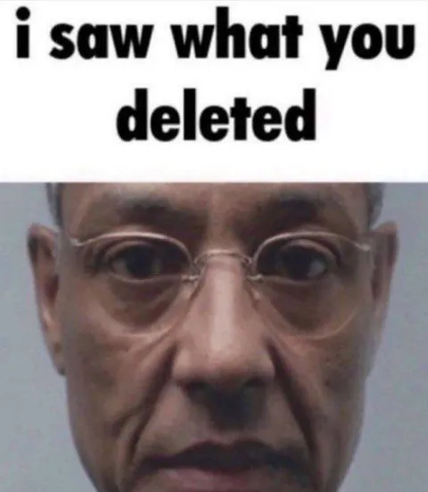 I Saw What You Deleted