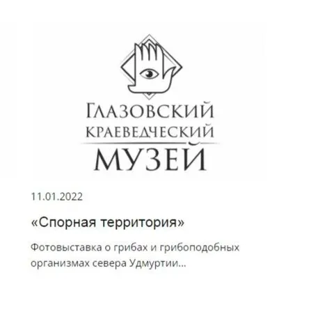Спорная территория — выставка грибов