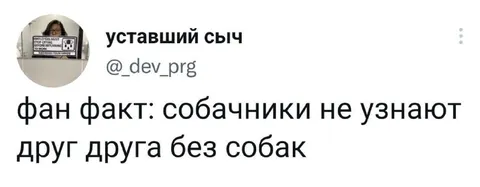 Собачники не узнают друг друга