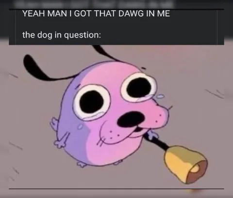 The Dog in Question