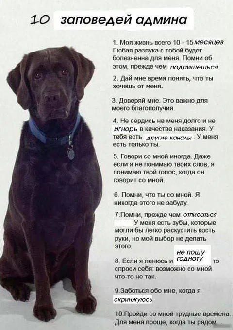 10 заповедей админа