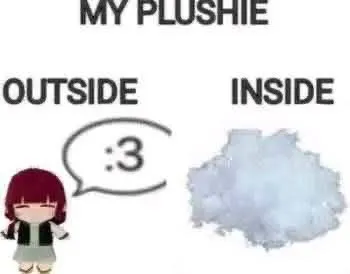 My Plushie Outside and Inside