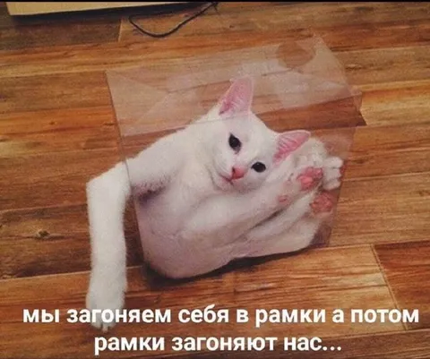 Мы загоняем себя в рамки