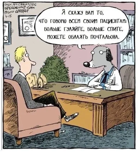 Совет врача больным собакам