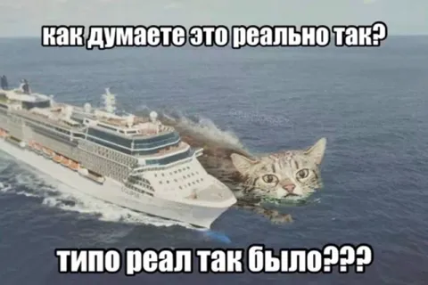 Корабль-кот в море
