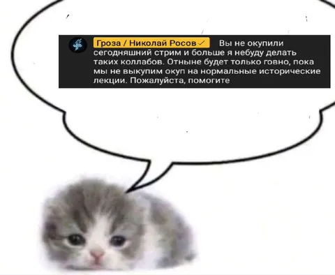 Кот просит окупить стрим