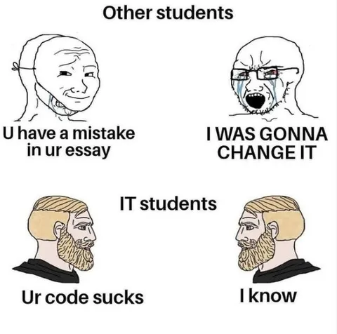 Other Students vs IT Students