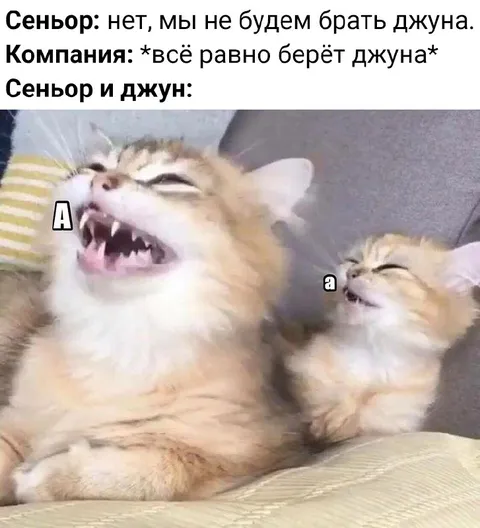 Сеньор и джун смеются вместе