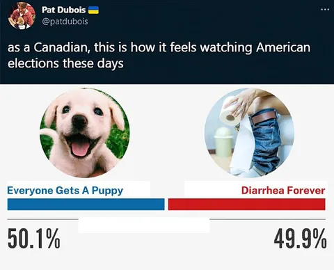 Canadian Watches American Elections
