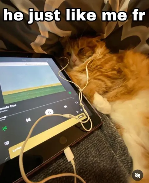 He Just Like Me Fr Cat