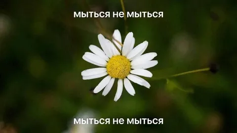 Мыться не мыться