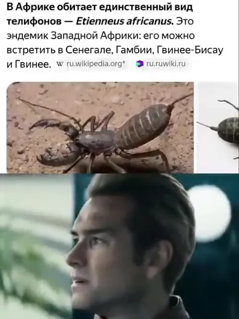 Единственный вид телефонов в Африке