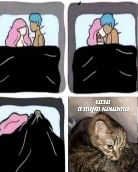 А тут кошька