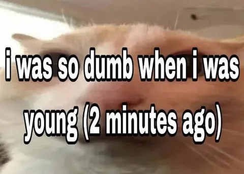 Dumb Two Minutes Ago