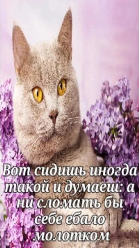 Сидишь и думаешь о молотке
