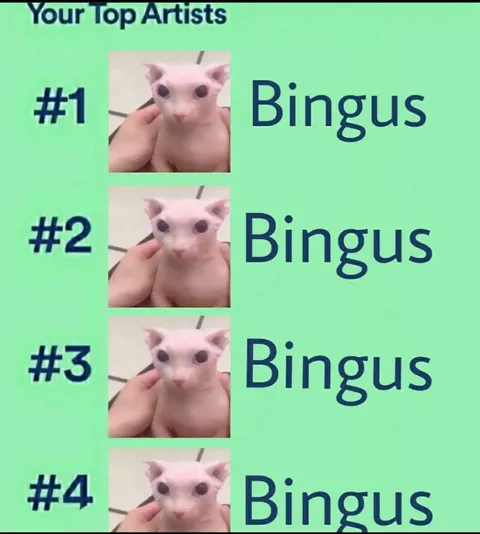 Bingus Top Artists