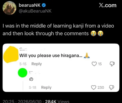 Please Use Hiragana