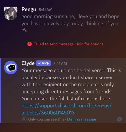 Discord Rejection After Sweet Message