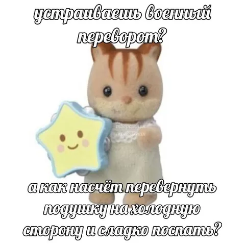 Военный переворот с подушкой