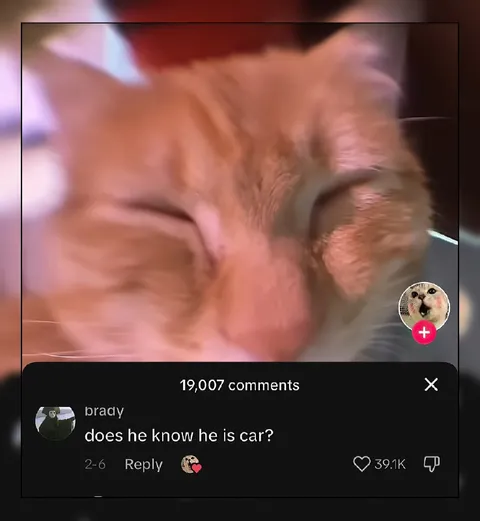 Does He Know He Is Car?